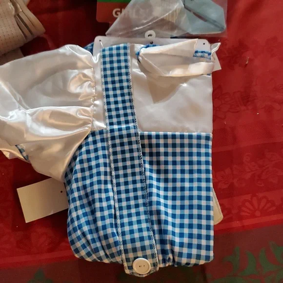 Rubie's Wizard of Oz Dorothy Costume - Blue and White Size 7 / 8 - Picture 2 of 4